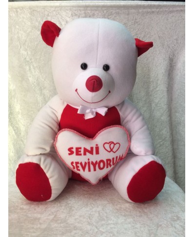 60 CM POFUDUK AYI